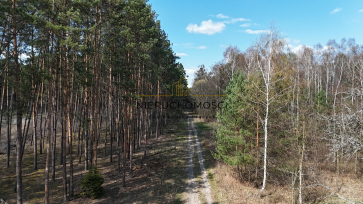 Działka Sprzedaż Gromada 8