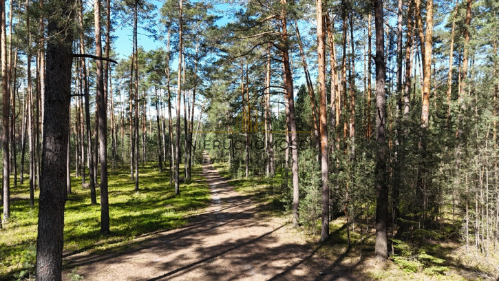 Działka Sprzedaż Kolonia Kąty 1