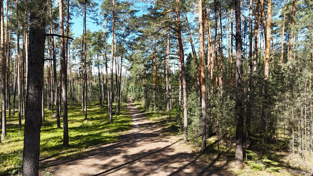 Działka Sprzedaż Kolonia Kąty
