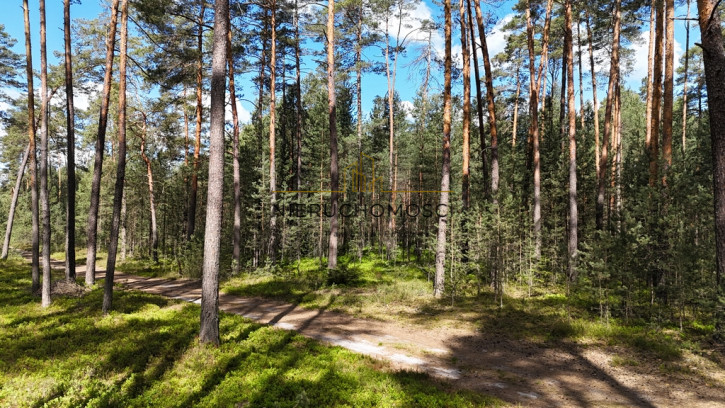 Działka Sprzedaż Kolonia Kąty 6