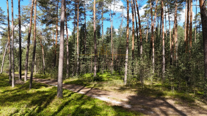 Działka Sprzedaż Kolonia Kąty