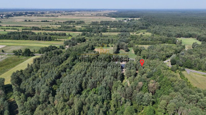 Działka Sprzedaż Aleksandrów Aleksandrów Pierwszy