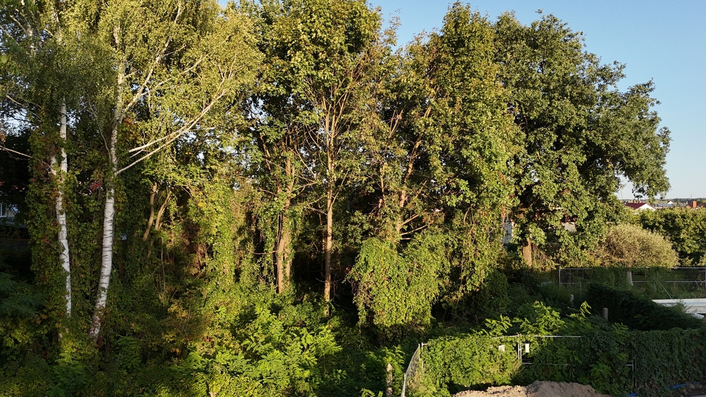 Działka Sprzedaż Biłgoraj Partyzantów
