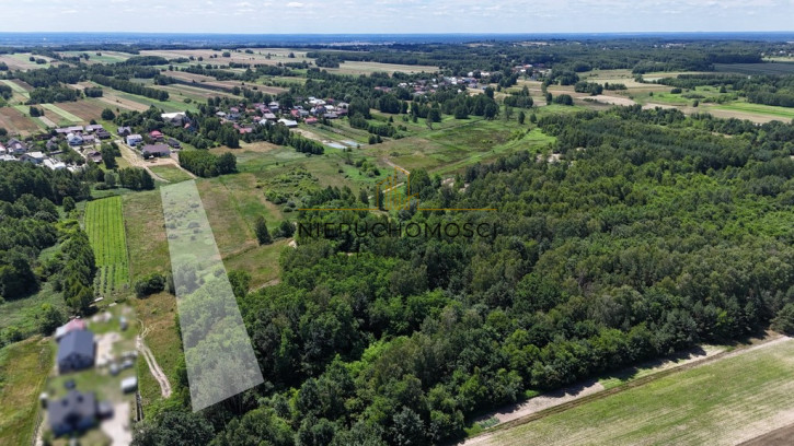 Działka Sprzedaż Nowa Wieś 8